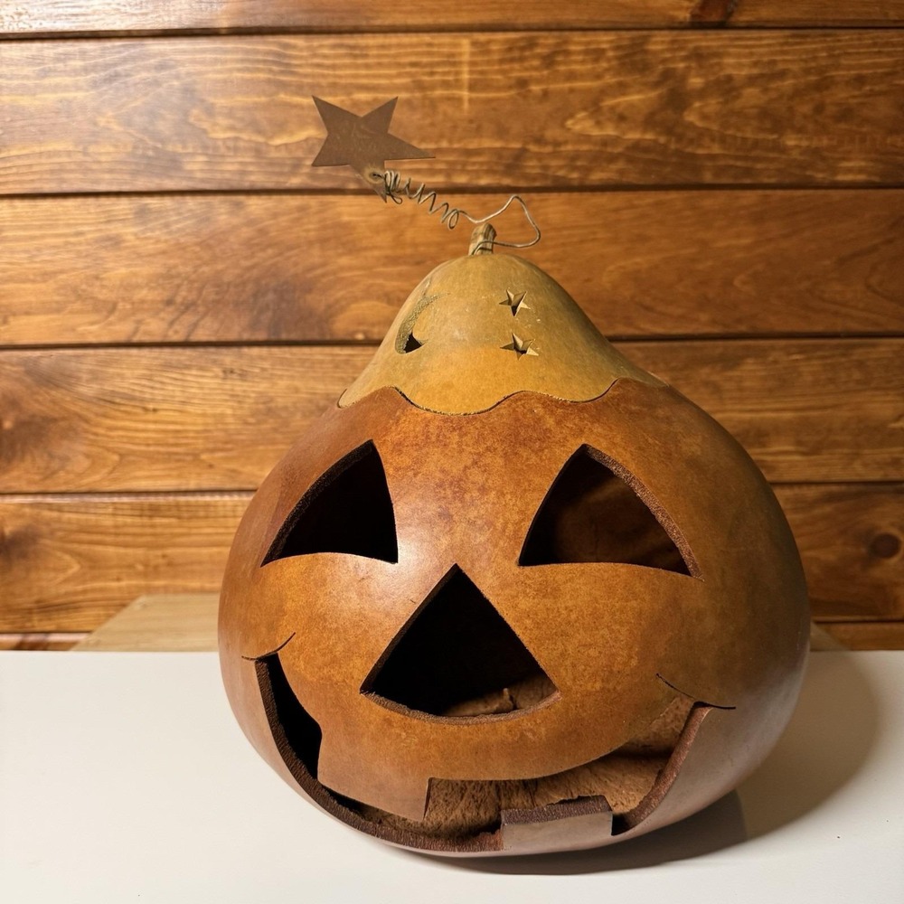 Meadowbrooke Gourds Lighted Jack O Lantern Halloween Carved Gourd Pumpkin Lamp